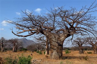 Malawi weather forecast