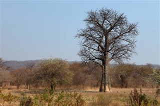 Malawi weather forecast