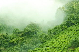 Malaysia weather forecast