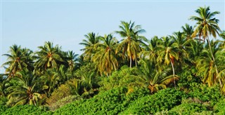 Maldives weather forecast