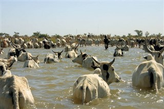 Mali weather forecast