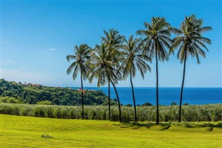 Martinique weather forecast