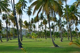 Martinique weather forecast