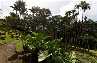 Martinique weather forecast