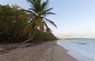 Martinique weather forecast