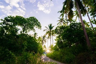 Martinique weather forecast