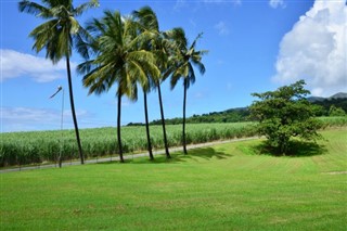 Martinique weather forecast