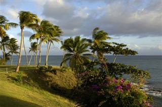 Martinique weather forecast