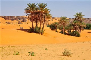 Mauritania weather forecast