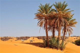 Mauritania weather forecast