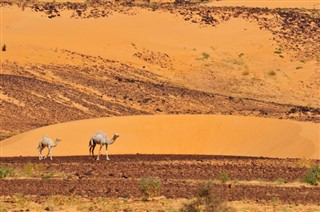 Mauritania weather forecast