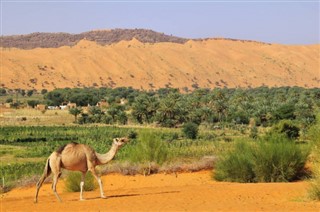 Mauritania weather forecast