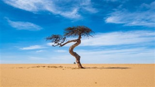 Mauritania weather forecast