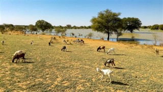 Mauritania weather forecast