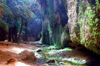 Mauritania weather forecast