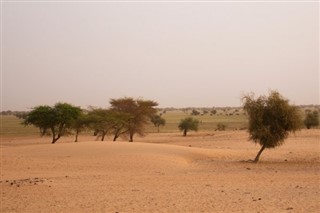 Mauritania weather forecast