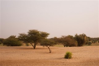 Mauritania weather forecast