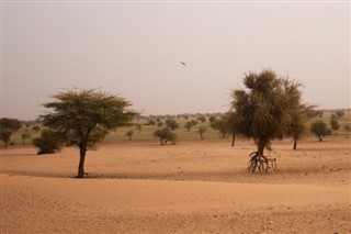 Mauritania weather forecast