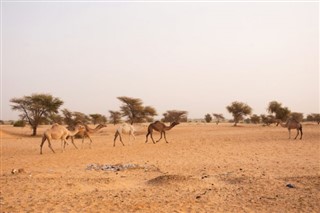 Mauritania weather forecast