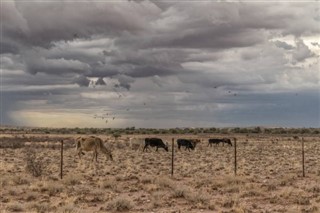 Mauritania weather forecast