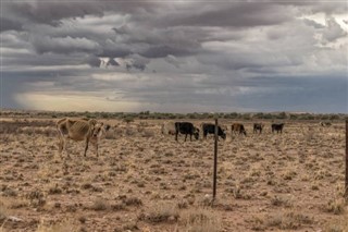 Mauritania weather forecast