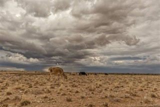 Mauritania pronóstico del tiempo