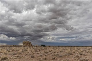 Mauritania weather forecast