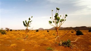 Mauritania weather forecast