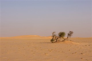 Mauritania weather forecast