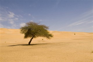 Mauritania weather forecast