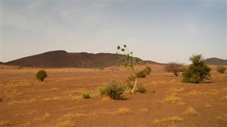 Mauritania weather forecast