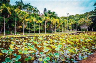 Mauritius weather forecast