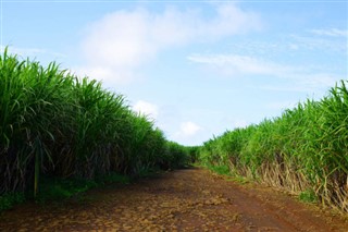 Mauritius weather forecast