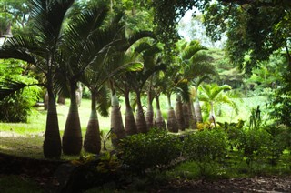 Mauritius weather forecast