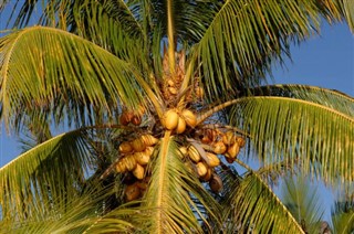 Mauritius weather forecast