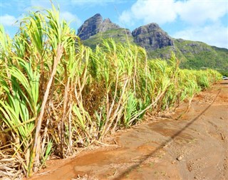 Mauritius prognoza pogody