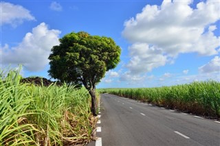 Mauritius weather forecast