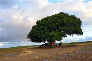 Mauritius prognoza pogody