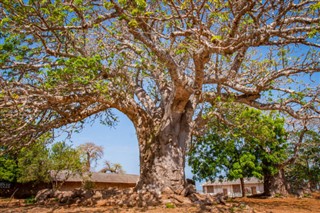 Mayotte weather forecast