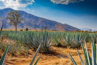 Mexico weather forecast