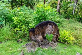 Micronesia weather forecast