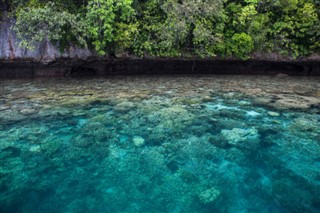 Micronesia weather forecast