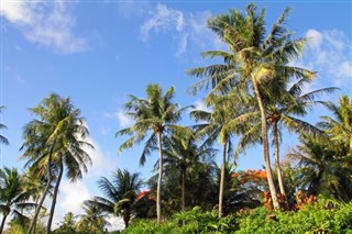 Micronesia weather forecast