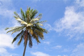 Micronesia weather forecast