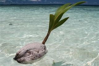 Micronesia weather forecast