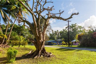 Micronesia weather forecast