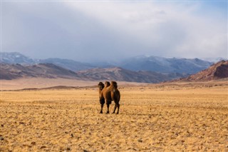 Mongolia weather forecast