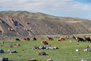 Mongolia weather forecast