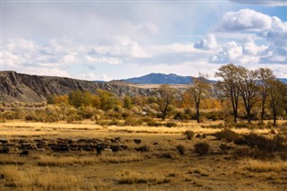 Mongolia weather forecast