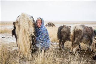 Mongolia prognoza pogody